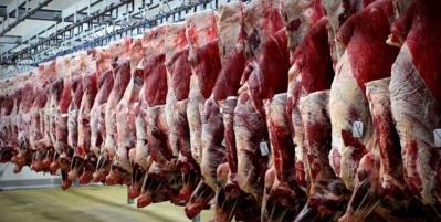 حذف ارز ترجیحی و واریز مستقیم یارانه؛ راهکار اصلاح بازار گوشت